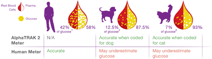 Cat Blood Glucose Levels Chart