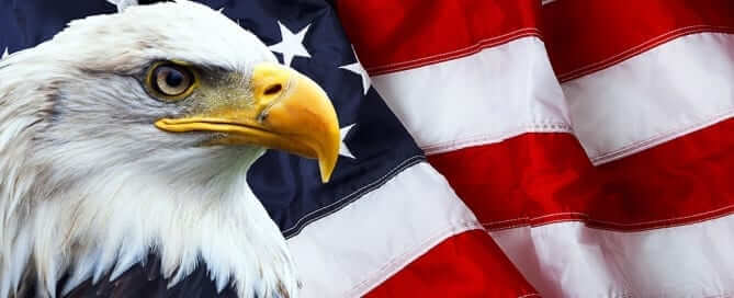 American Eagle in front of flag