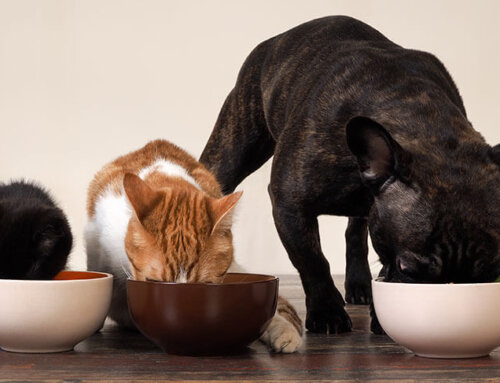 Timing is Everything