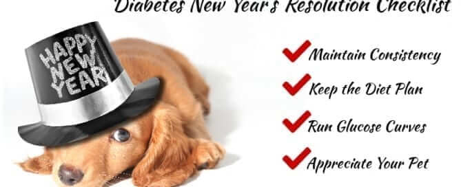 2017 Pet New Years Resolution