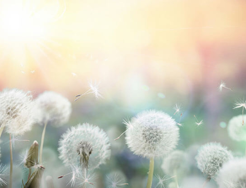 Can Allergies Affect Blood Sugar?