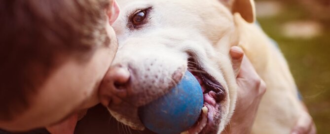 Pet Ownership