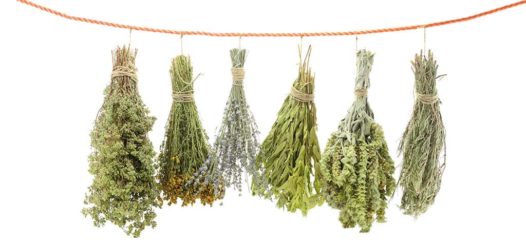 Hanging Variety of Herbs
