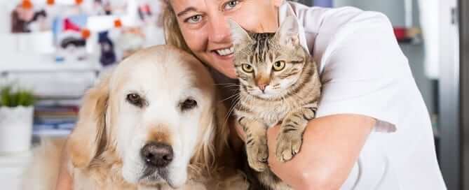 vet with cat and dog