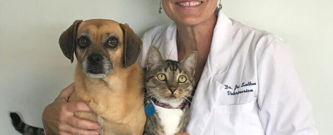 Dr Joi Profile Picture
