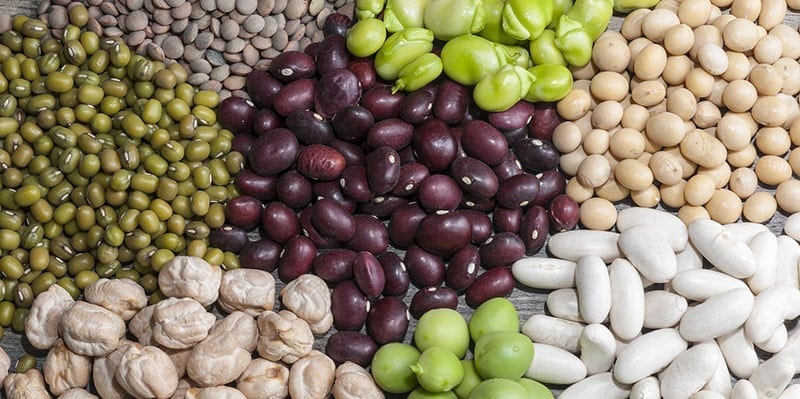 Healthy Bean Choices