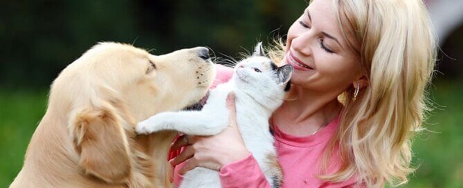 Woman with Cat and Labrador