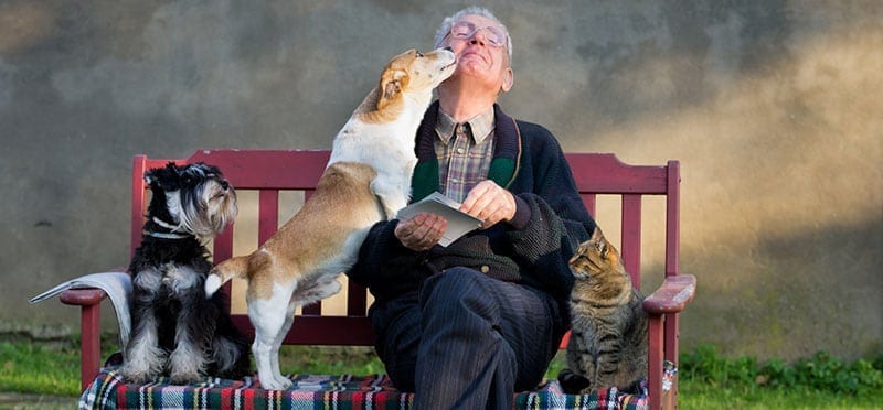 Senior with dogs and cat