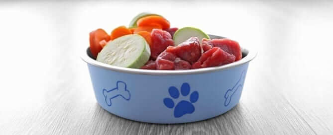Raw Food in a Cat or Dog Bowl