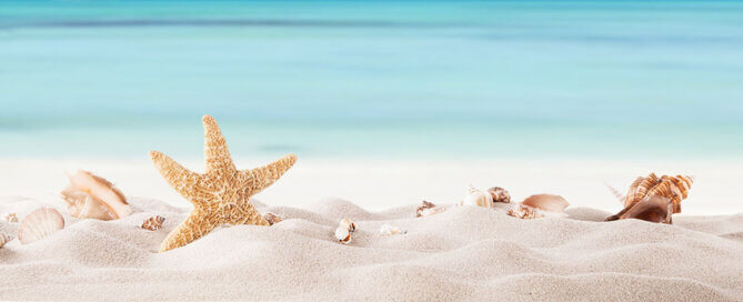 Beach Shells on a Beach