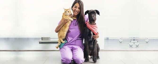 Vet with Cat and Dog