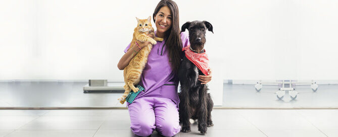Vet with Cat and Dog