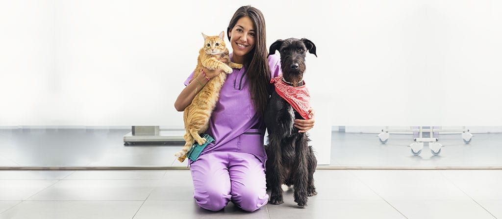 Vet with Cat and Dog