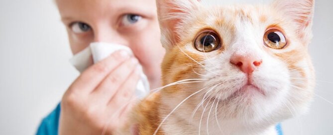 Allergies to Pets