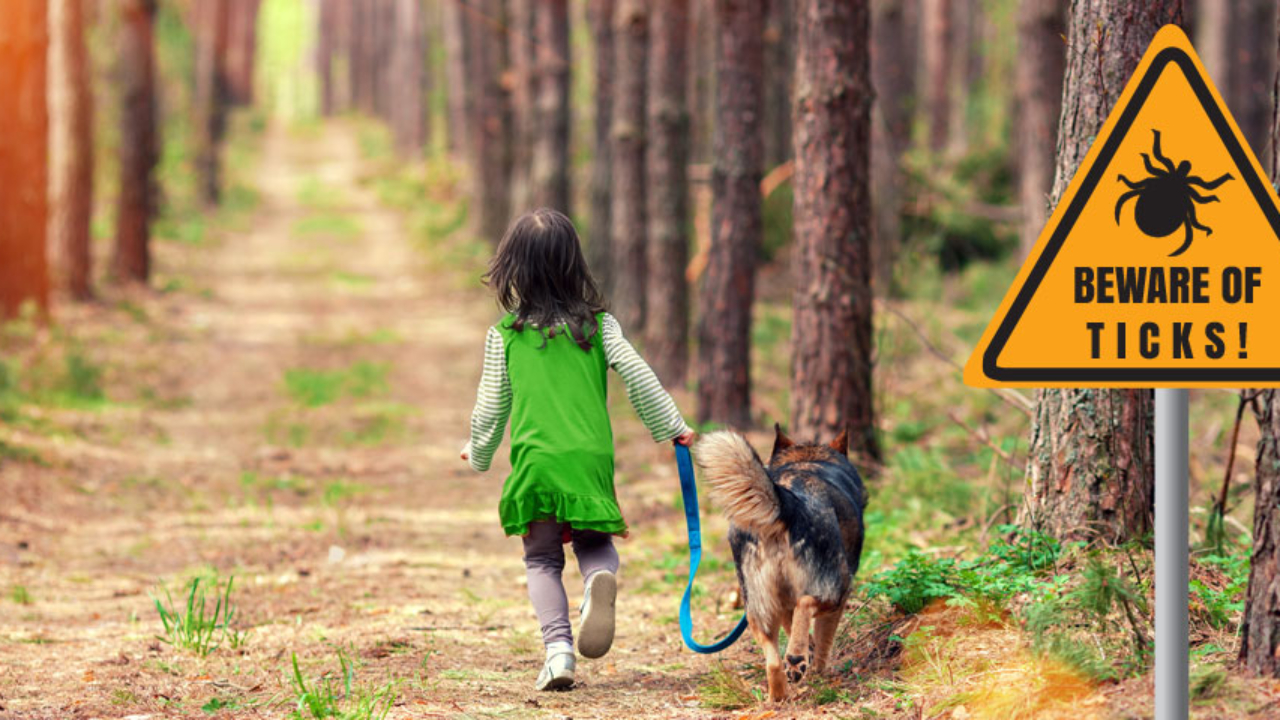 lyme disease vaccine for dogs 2018