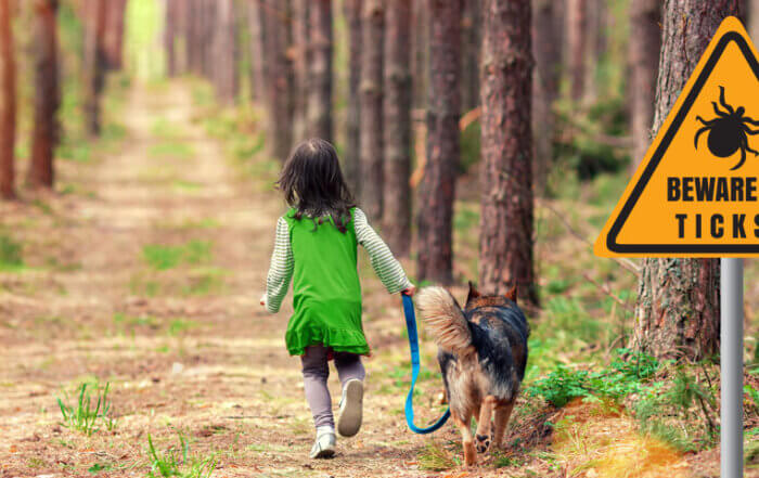 Lyme Disease is on the rise