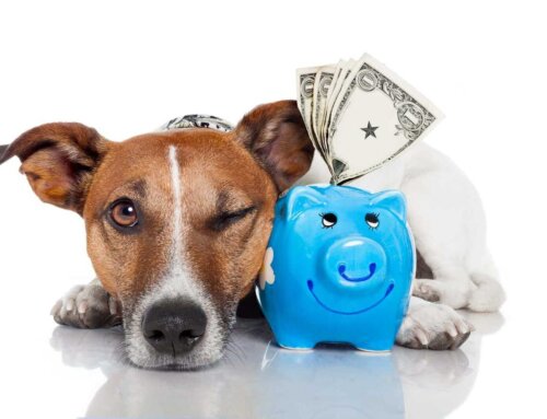 Ways To Save Money On Insulin