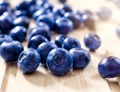 Blueberries – Healthy For Everyone