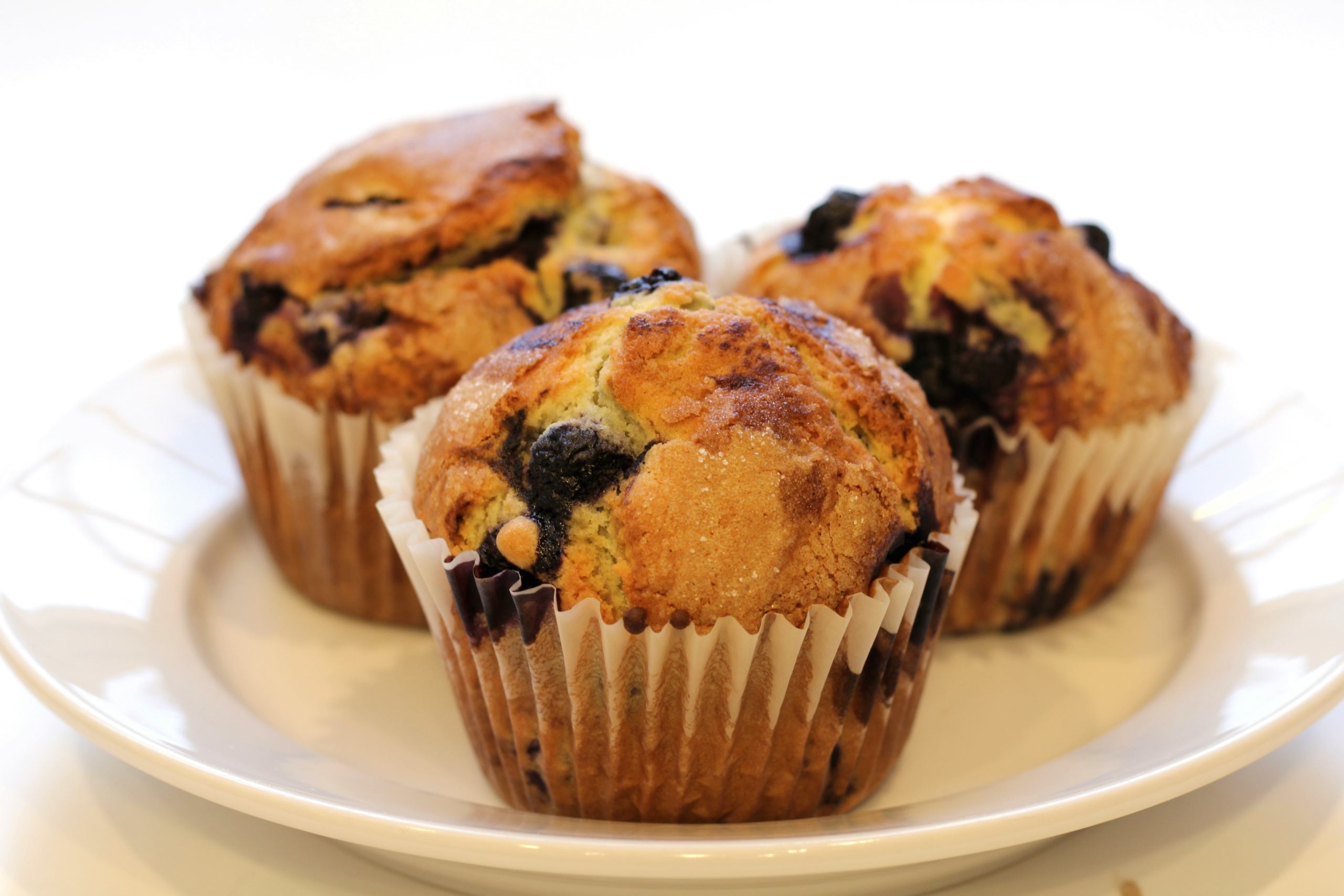 Blueberry Corn Muffins