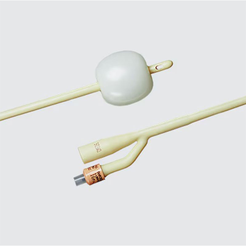 Bard Bardex Infection Control 2-Way Foley Catheter 10FR 3cc