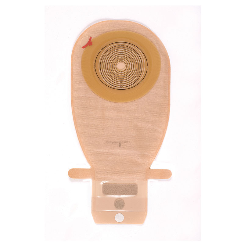Coloplast Assura STD Wear Maxi Drainable Pouch 11 1/2 inch 15870