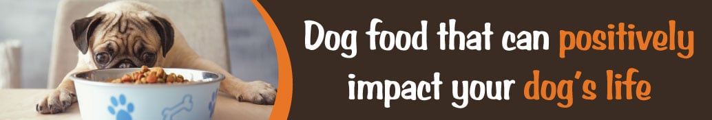 Dog Food - Dry - Page 2