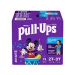 Pull-Ups Learning Designs Training Pants Boy 2T-3T Giga Pack Case of 74 thumbnail