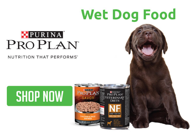 Shop All Purina Wet Dog Food