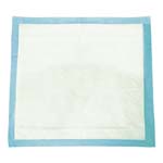 Tranquility Essential Underpads-Moderate 22x36 inch Case of 150 thumbnail