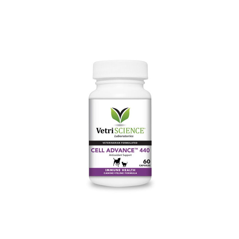 VetriScience Cell Advance 440 For Cats & Dogs 60ct